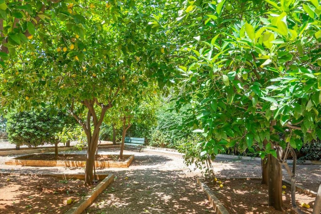 Voula'S Secret Garden Studio Atenas Exterior foto